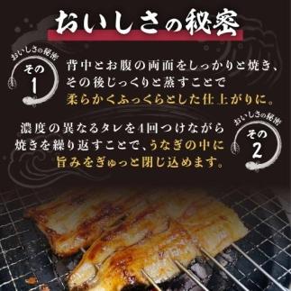 くすだ屋の鰻2尾_150gx2