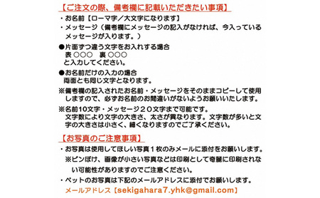 ペットの可愛いお写真をキーホルダーに♪うちの子アクリルキーホルダー（デザインB） 【B】ピンク