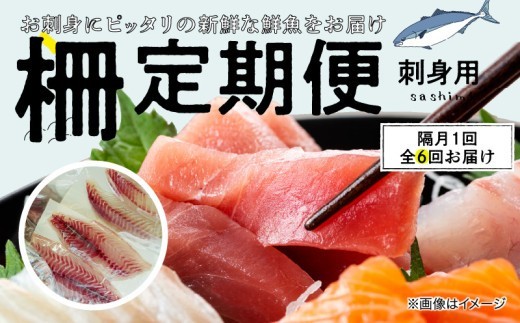 S121-T02_【隔月　6回お届け】天草天然鮮魚を直送　お刺身用柵定期便