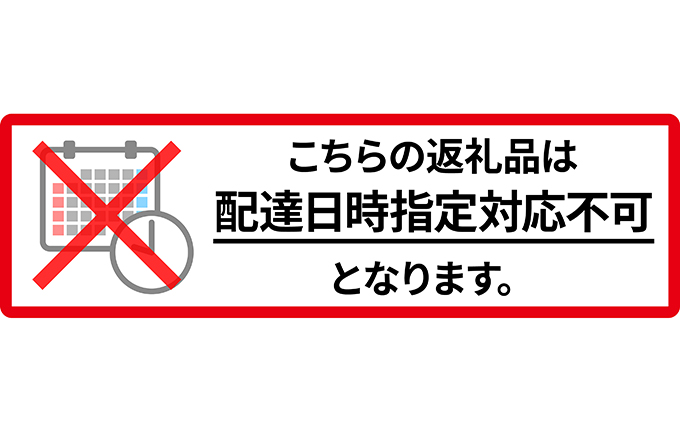 先行予約 北海道 仁木町産 千両梨＆りんごセット 約4.5kg くだもの直売もり園