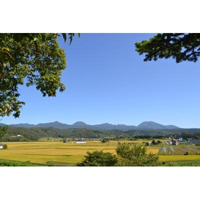 ふるさと納税 蘭越町 令和6年産　らんこし米 福岡農場のななつぼし 5kg |  | 01
