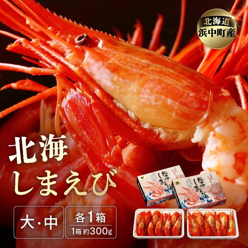 北海しまえび(大・中) 各300g×1箱 えび_H0001-1261