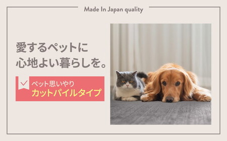 日本製 カーペット 正方形 4.5帖 約261×261cm ブラック 1枚 600017645型｜インテリアラグ フリーカット 絨毯 リノベーション 引っ越し 新生活  フローリング 傷つきにくい 機