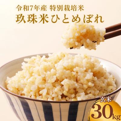 ふるさと納税 玖珠町 【ふるさと納税】玖珠米 令和7年産 ひとめぼれ 玄米 30kg 大分県玖珠町 米 特別栽培米 特A