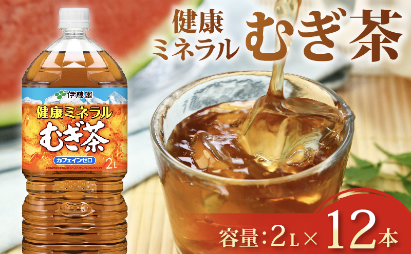 ＜選べる内容量＞ 健康ミネラル むぎ茶 計12本 2L × 6 本 2ケース お届け お茶 ペットボトル 飲料 ペットボトル飲料 おちゃ 麦茶飲料 お茶飲料 飲み物 茶 アウトドア 日常 常備 備蓄 防災 防災備蓄 防災用品 災害 生活必需品 消耗品 非常用 災害対策 保存 保管 ストック 日用品 水分補給 箱 箱買い まとめ買い おすすめ 静岡茶 飲料水 美味しい お?いお茶 伊藤園 牧之原市 静岡県