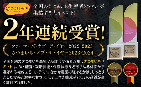 さつまいも 蔵出しベニーモ 約5kg さつまいも 訳あり