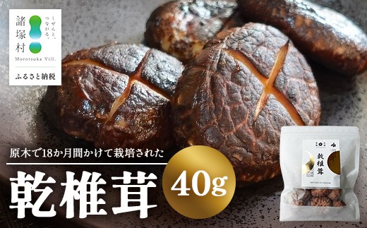 
                  乾椎茸 40g×1P｜乾燥椎茸 椎茸 しいたけ 干ししいたけ 原木椎茸 きのこ 山菜  希少 どんこ 肉厚 高級 常温 お試し パック 一般社団法人ツーリズム高千穂郷 宮崎県 諸塚村 TR-03
                