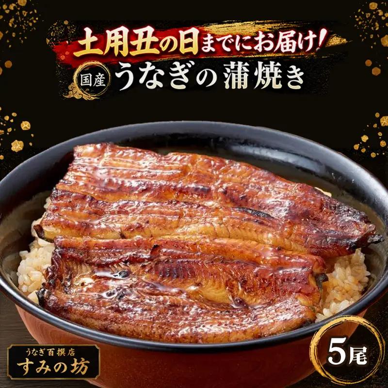【土用丑の日までにお届け】 三島うなぎ蒲焼き 5尾