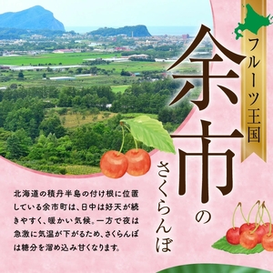 さくらんぼの王様 佐藤錦 500g×2パック 合計1kg(2L) 【2024年発送先行予約】 余市 北海道 フルーツ王国 さくらんぼ サクランボ 桜桃 佐藤錦 余市産さくらんぼ  小分けさくらんぼ  