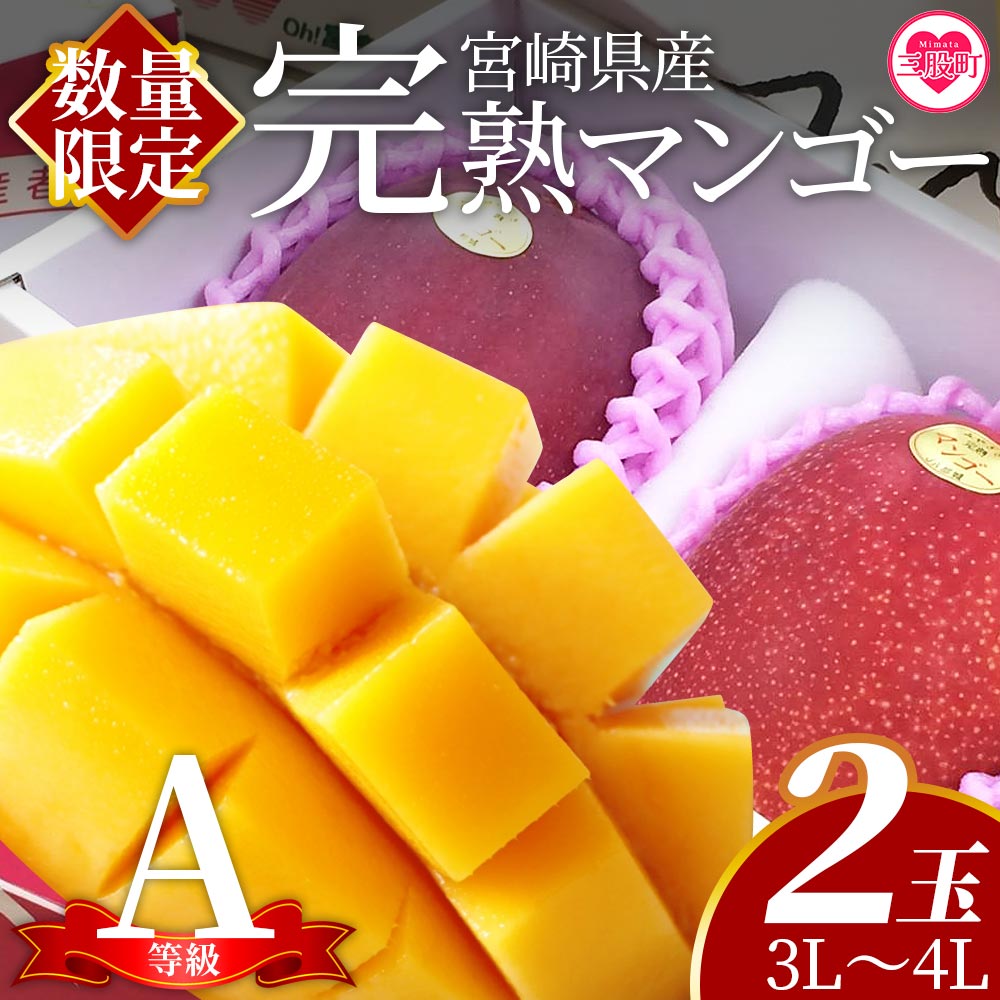 ＜【先行予約】【期間数量限定】2026年5月より順次発送 宮崎県産完熟マンゴー3L〜4L 2玉化粧箱入＞(2玉入り)【 B-0602-yk-x1】【みまたんよかもん協同組合】マンゴー フルーツ デザート 甘い 果物 くだもの 季節限定 贅沢