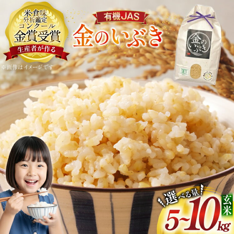 【ふるさと納税】 【定期便 も選べる】令和7年産 米 金のいぶき 玄米 コンクール金賞受賞生産者 5kg 10kg 3回 定期 | | ふるさと納税 米 玄米 精米 高級 お米 コメ こめ kome ご飯 ごはん 米 ブランド米 山形 高畠町 2024 2025 ふるさと 人気 送料無料 F21B-140var
