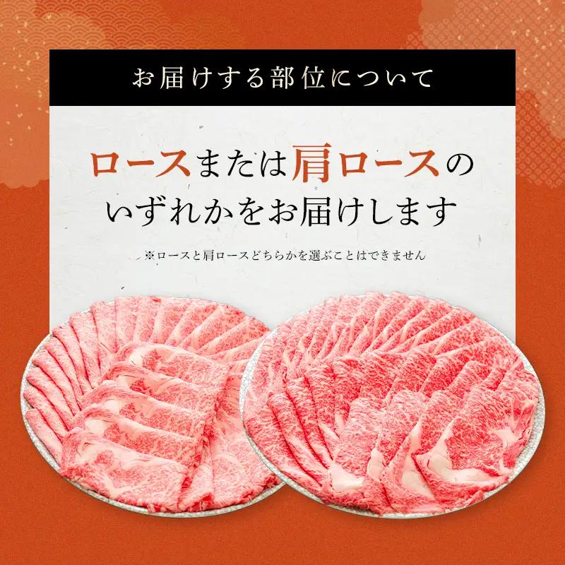 飛騨牛 ロース 肩ロース 500g すき焼き しゃぶしゃぶ 牛肉 和牛肉 霜降り カタロース 岐阜県 坂祝町 養老ミート お取り寄せ グルメ ギフト 御祝 内祝 2 人前 3 人前 鍋 セット  F6