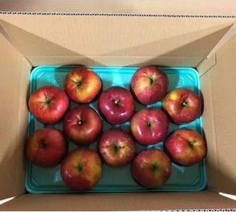 【010-92】信州のりんご　名月　訳あり家庭用　約5kg