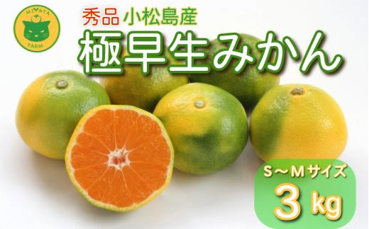 【2026年10月発送】 みかん 秀品 極早生みかん 3kg 蜜柑 ミカン 柑橘 旬 フルーツ 果実 ジュース 小松島市 甘い ジューシー デザート 産地直送