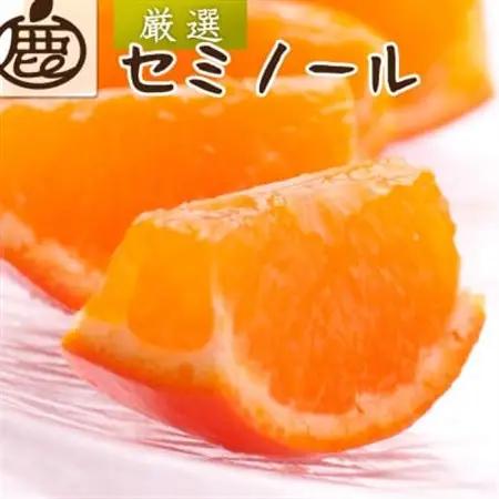 厳選 セミノールオレンジ10kg+250g(傷み補償分)【春みかん】【有田産】【光センサー選果】【配送不可地域：離島・北海道・沖縄県】【1651247】