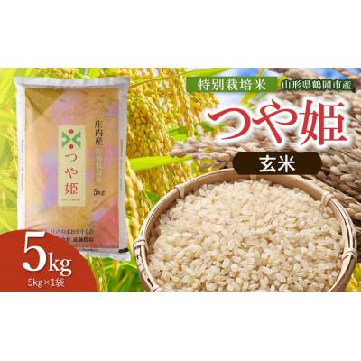 ふるさと納税 鶴岡市 【令和8年産】斎藤農場の特別栽培米つや姫玄米5kg [K-837]