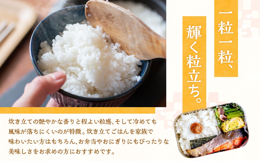 静岡県産コシヒカリ精米5kg（5kg×1袋）