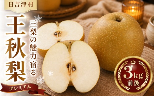 プレミアム王秋梨　3kg【梨 赤梨 王秋梨 おうしゅうなし 3kg 先行予約 期間限定 数量限定 なし ナシ 晩生種 果物 くだもの フルーツ 旬 厳選 プレミアム 高糖度 甘い 贈り物 ギフト お取り寄せ 産地直送 鳥取県】