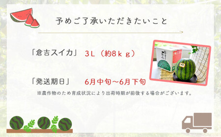 【倉吉産】倉吉スイカ 1玉（3Lサイズ）JA鳥取中央 スイカ 糖度12度以上