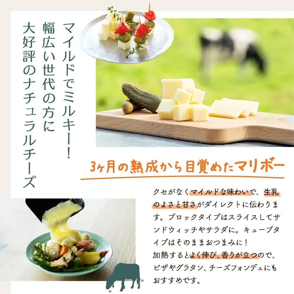 【★高評価レビュー獲得！】竹下牧場まるごとチーズセット モッツァレラ マリボーCUBE マリボー 乳製品 チーズ チーズセット モッツアレラ マリボー 発酵食品 ふるさと納税 北海道 中標津町 中標津