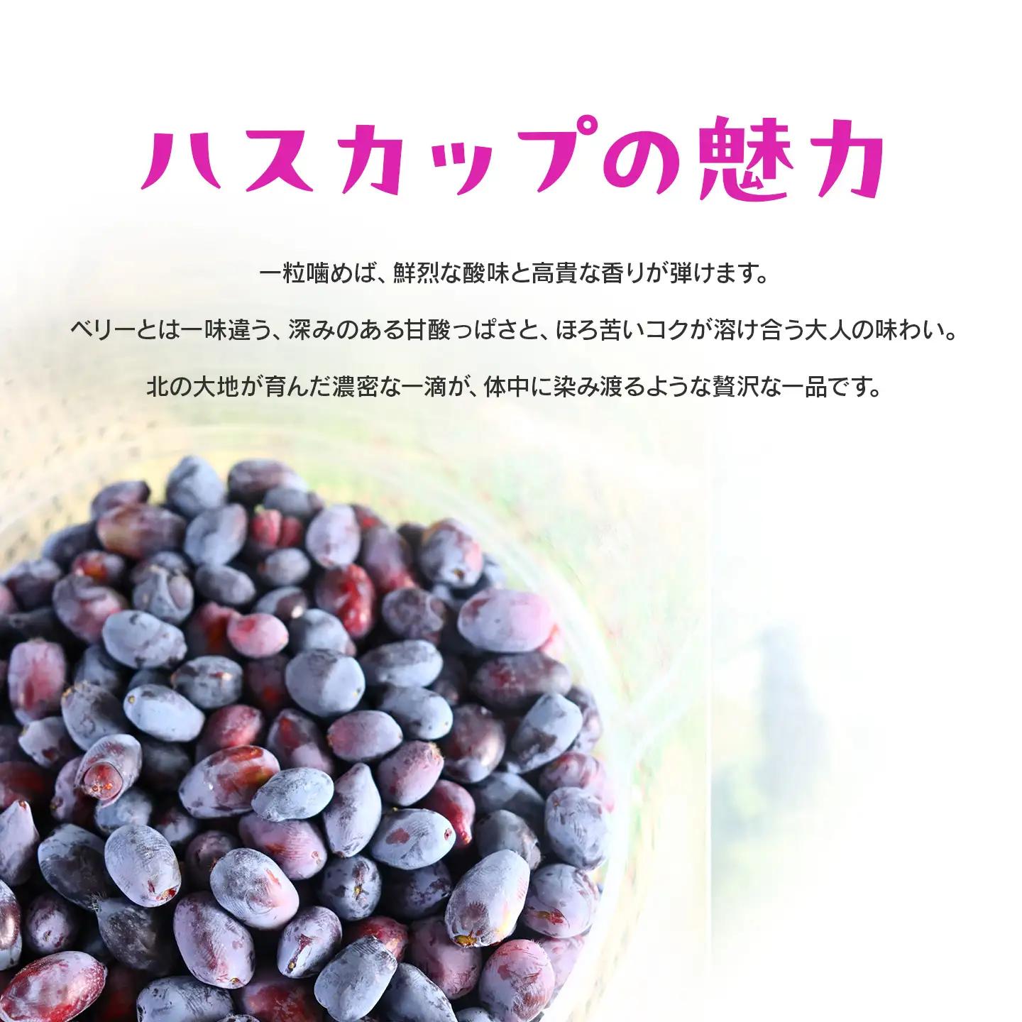 北海道美唄産ハスカップ（600g）｜ ハスカップ