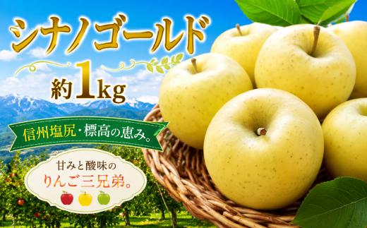【2026年先行予約】信州塩尻産 シナノゴールド 約1kg | 先行受付 果物 くだもの フルーツ シナノゴールド りんご 林檎 りんご3兄弟 信州 長野県 塩尻市