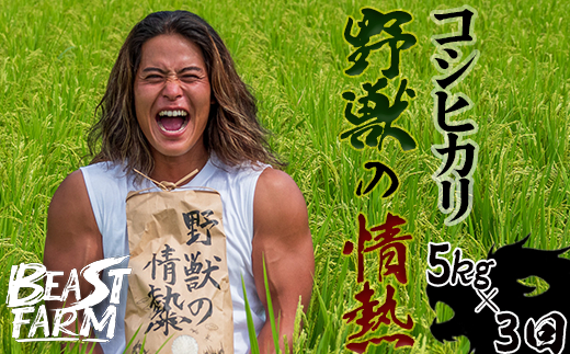 【令和8年産 新米早期予約】 コシヒカリ 3kg 5kg 10kg から 選べる内容量 定期便 野獣の情熱 8月下旬より発送 国産 高知県産 白米 精米 ごはん お米 産地直送 井上農園 ビースト農園