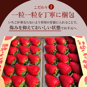 先行予約 いちご 奈良県産 古都華 約540g 270g×2パック 今西さん家の奈良いちご 冷蔵配送 ことか フルーツ 果物 旬 糖度 産地直送 農家直送 お取り寄せ おやつ デザート 苺 冷蔵  奈