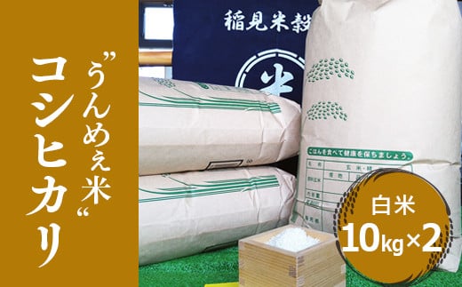 
[令和6年度産]栃木県上三川町産コシヒカリ・白米 (10kg×2袋) ◇ | 国産 栃木県産 コシヒカリ 米 お米 単一原料米 精米 白米 栃木米 とちぎ米 産地直送 送料無料
