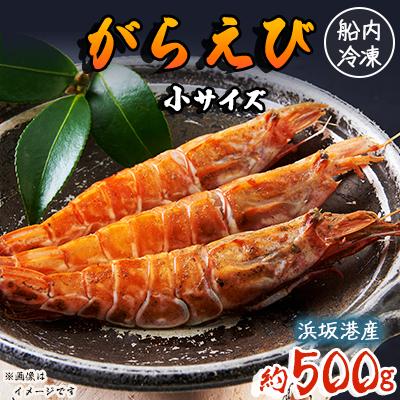 ふるさと納税 新温泉町 浜坂港産　船内冷凍「がらえび」【小サイズ】500g