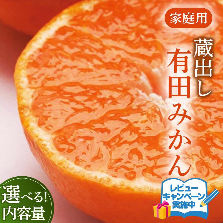 【ふるさと納税】【選べる 内容量・発送時期！】家庭用 蔵出しみかん【有田の蔵出しみかん】【光センサー選果】◇ ※北海道・沖縄・離島への配送不可 ※2026年1月中旬～2月下旬頃に順次発送予定