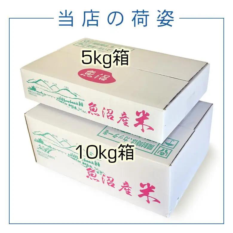 お米マイスター厳選！魚沼産コシヒカリ５kg×隔月6ヶ月 定期便 新潟県