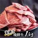 飛騨牛 丸明 焼肉 切りおとし 1kg 和牛 訳あり 牛肉 部位不揃い 不揃い カルビ 切落し 焼き肉 焼肉用 牛 わけあり 20000円 2万円 二万円 人気 高山市 飛騨高山 岐阜県