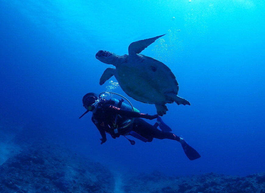 【ふるさと納税】体験ダイビング（2ボートダイブ）マールプロモーション（MA01）