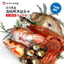 【ふるさと納税】レビューキャンペーン 旬の鮮魚詰合せ 8〜9種 下処理済み 旬 獲れたて 鮮魚 刺身用 詰合せ セット 海産物 海の幸 魚 魚介 おかず おつまみ 肴 国産 食品 能登半島地震復興支援 F6P-0039