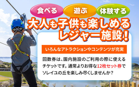 ソレイユの丘 回数券 400円分×12枚【株式会社日比谷花壇】 [AKBO001]