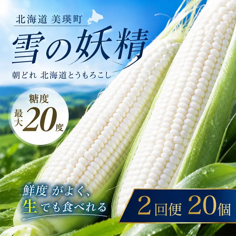 【先行予約】とうもろこし 雪の妖精 20本 2回 定期便 とうもろこし