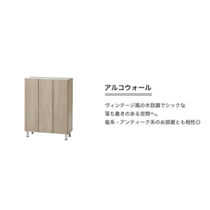 シューズボックス 【リアル 75 LO】 アルコウォール_シューズボックス リアル 75 LO 大川家具 アルコウォール 靴箱 靴 収納 可動棚 お洒落 国内製造 お取り寄せ 福岡県 久留米市 送料無