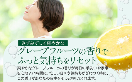 バーデンス　ボディシャンプーB　500ml＆400ml(詰替え)