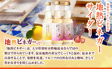 地熱ビネガーサイダーセット(3本)_B009-015