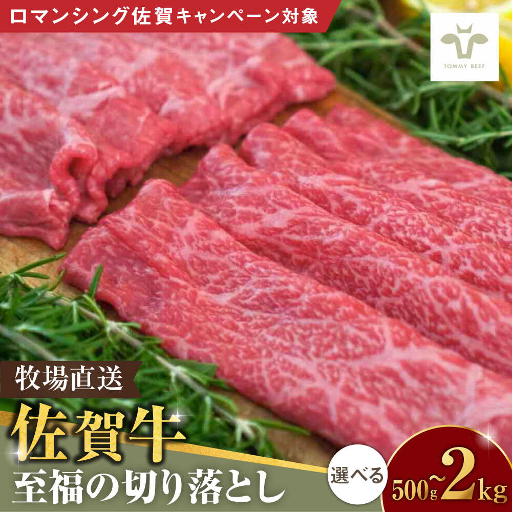 【ふるさと納税】【ロマ佐賀】【選べる内容量】佐賀牛切り落とし 500g-2kg / 佐賀牛 牛肉 切り落とし ロース モモ カタ バラ 赤身 すき焼き しゃぶしゃぶ 小分け / 佐賀県 / 有限会社佐賀セントラル牧場 [41ASAA021]