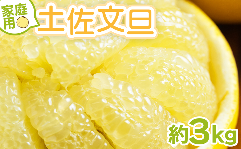 文旦 家庭用 3kg 大小混合(サイズ：L～3L) 高知 大玉 小玉 混合 訳あり 傷 果物 土佐文旦 ぶんたん ブンタン フルーツ 柑橘 香南市産 高知県 数量限定 期間限定 季節限定 旬 常温 10000円以下 1万円以下 yk-0071