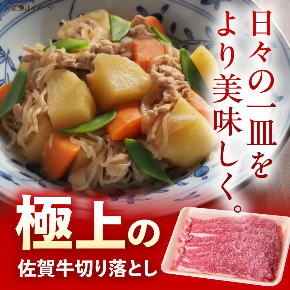 佐賀牛 切り落とし 600g 牛切落し [UEM030]