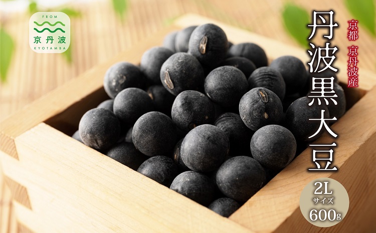 丹波黒大豆 2Lサイズ 600g （300g×2袋） 京丹波町産 京都 丹波 黒大豆 黒豆 生豆 令和7年度産 生産者限定 国産 お取り寄せ ご当地グルメ