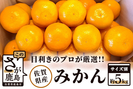 【予約受付】【目利きのプロが厳選】佐賀県産みかん 約5kg（サイズ別）みかん 蜜柑 ミカン フルーツ 果物 ギフト 贈物 プレゼント 贈答 B-673