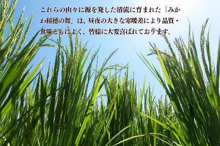 コシヒカリ 5kg 新潟県阿賀町産《令和7年産》 精米 白米 送料無料｜みかわ稲穂の舞 コシヒカリ