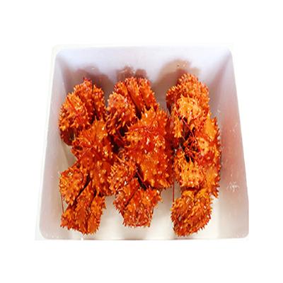 ふるさと納税 根室市 ＜12/21まで年内配送＞★花咲かに300g前後〜450g前後×3尾 A-36001 |  | 03