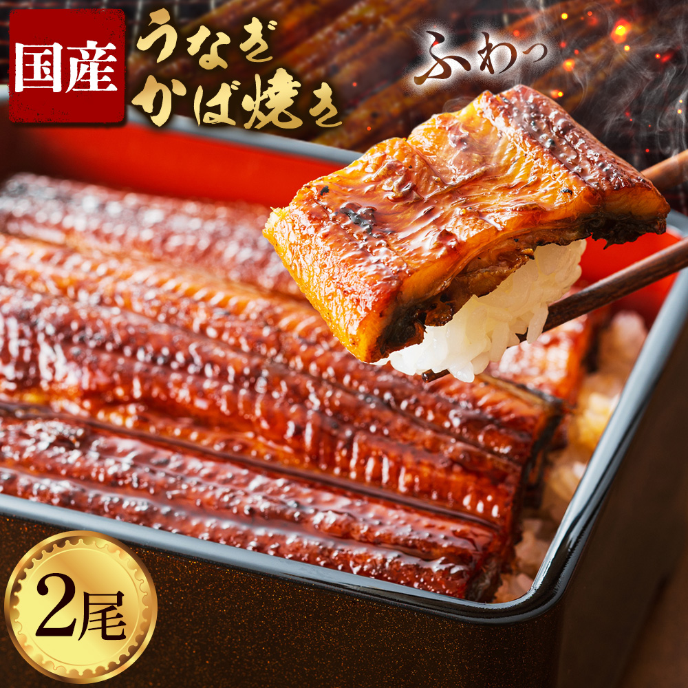 鰻 国産 うなぎ かば焼き 2尾 約 320g うな藤《30日以内に出荷予定(土日祝除く)》千葉県 我孫子市  丑の日 炭火 鰻 ウナギ ギフト 真空パック タレ 山椒 冷凍 贈り物 プレゼント お祝い お取り寄せ ギフト