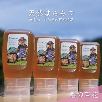 ふるさと納税 美濃市 合計1200g 深田養蜂の天然蜂蜜 国産蜂蜜 非加熱 生蜂蜜岐阜県 美濃市産 春 A12