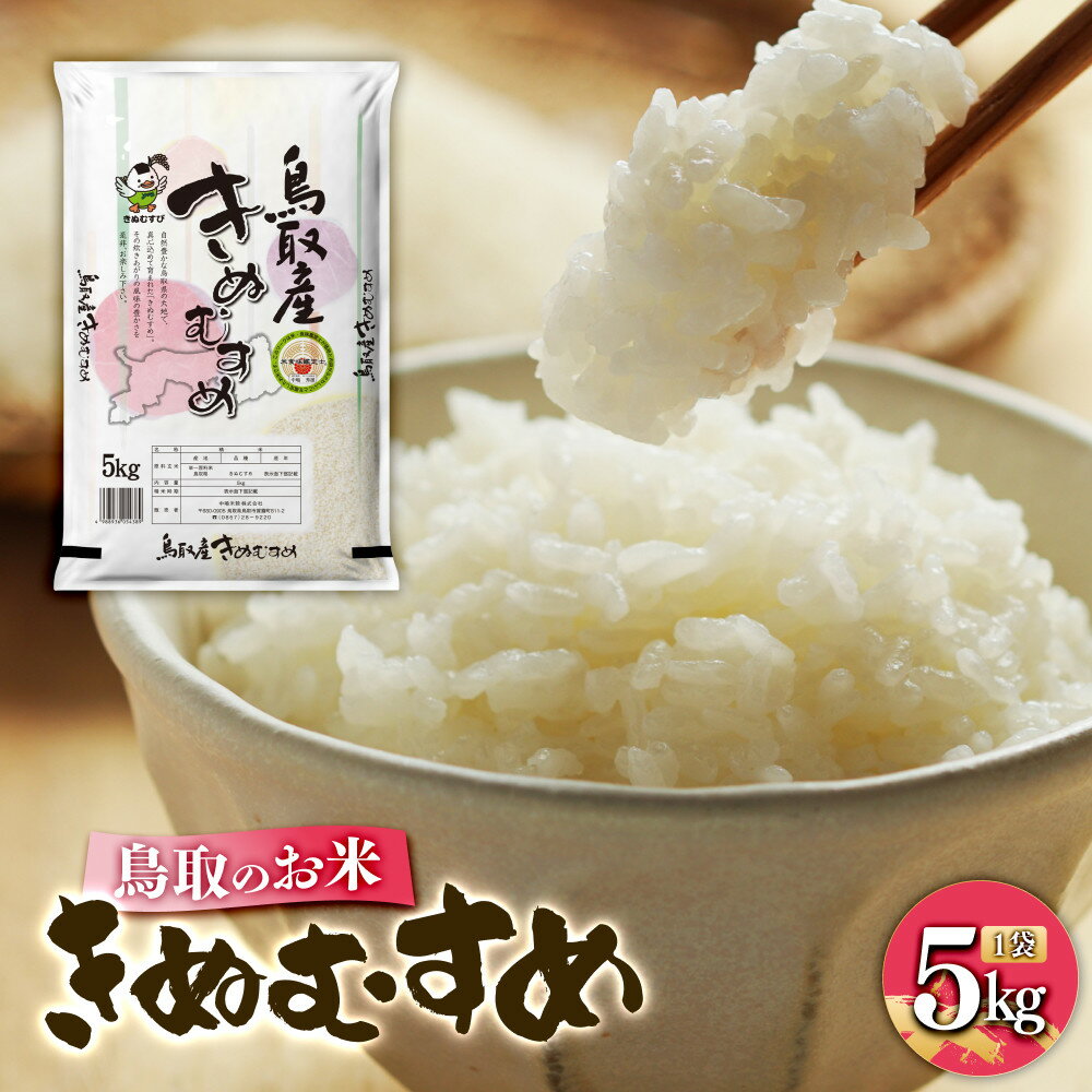【ふるさと納税】鳥取のお米 きぬむすめ 5kg 精米 | R7年産 2025年産 米 こめ ご飯 ごはん おにぎり おむすび 夕食 5キロ 鳥取県産 北栄町 おすすめ 人気